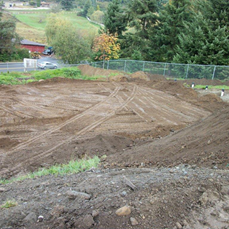i-need-a-excavation-contractor-in-covington-wa